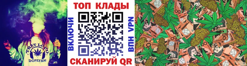 Купить наркоту Луга Канабис  КОКАИН  Гашиш 