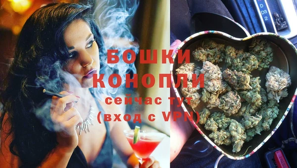 твердый Магадан