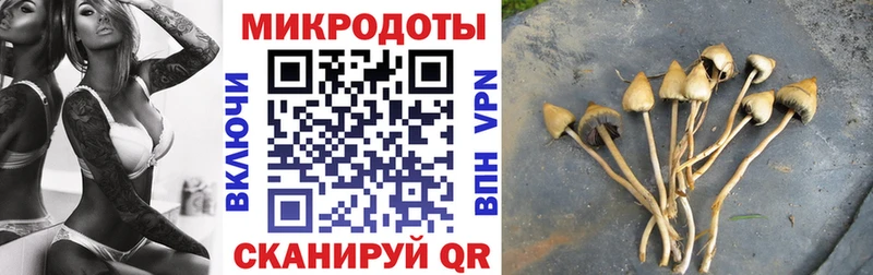 наркота  Луга  Псилоцибиновые грибы MAGIC MUSHROOMS 