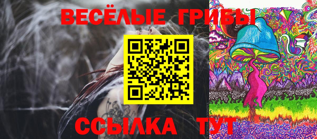 Псилоцибиновые грибы Psilocybe Луга
